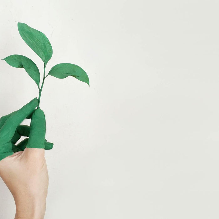 Eco-Friendly Promo That Actually Works – What’s Worth the Hype