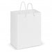 Laminated Carry Bag - Medium