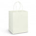 Large Paper Carry Bag - Full Colour Print