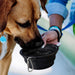 Silicone Collapsible Pet Bowl