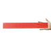Transparent 30cm Ruler