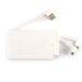 Arya Power Bank